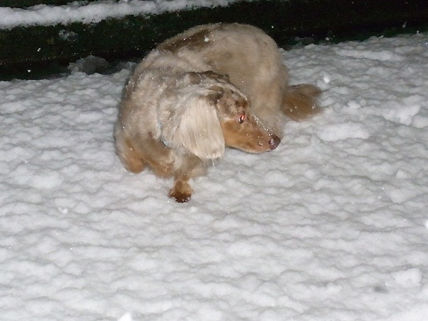 雪、怖いよ～