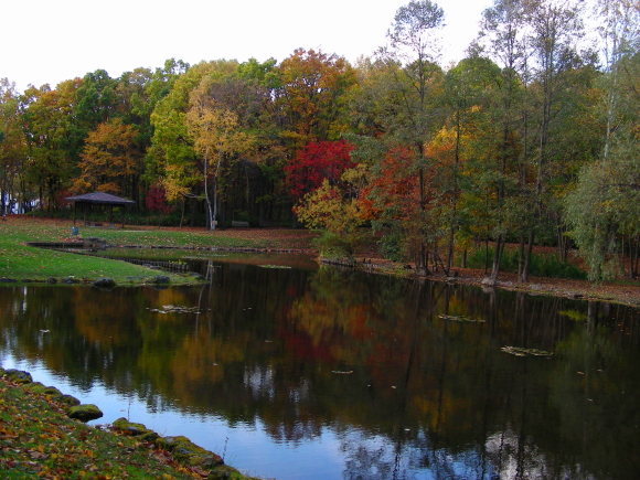 2017-10-16ike (1).JPG