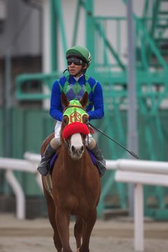 レース後