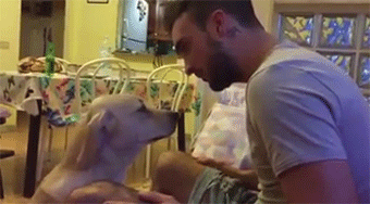 tumblr_nurmfgSECw1rc7zl1o1_400.gif