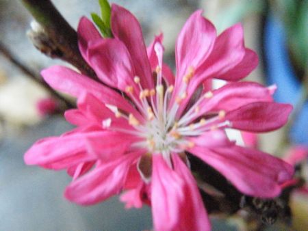 DSCF9319-p.jpg