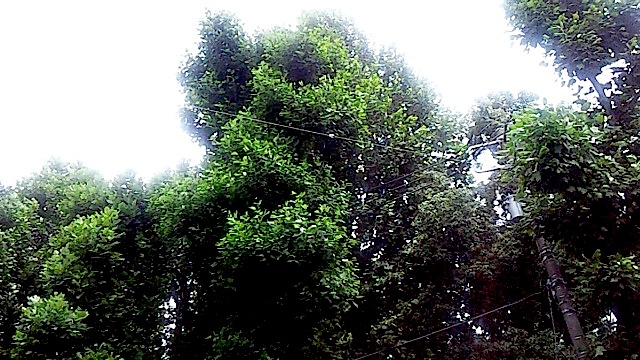 140710_140106.jpg