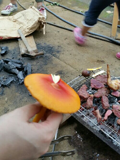 rblog-20150906211120-02.jpg