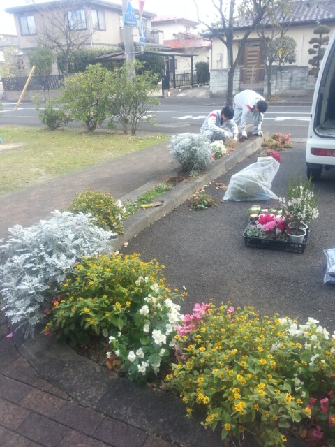 出張植え込み１