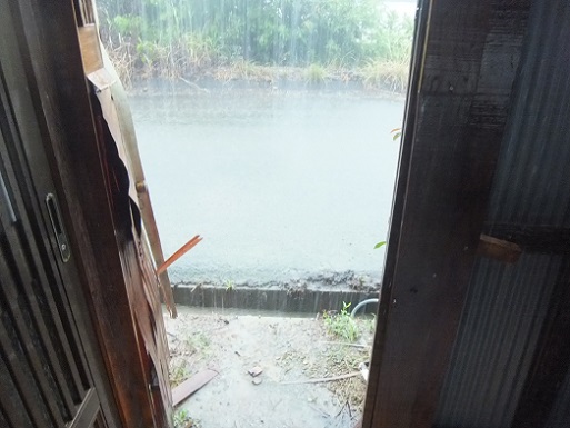 大雨が2.jpg
