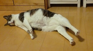 P1200889-ass.jpg
