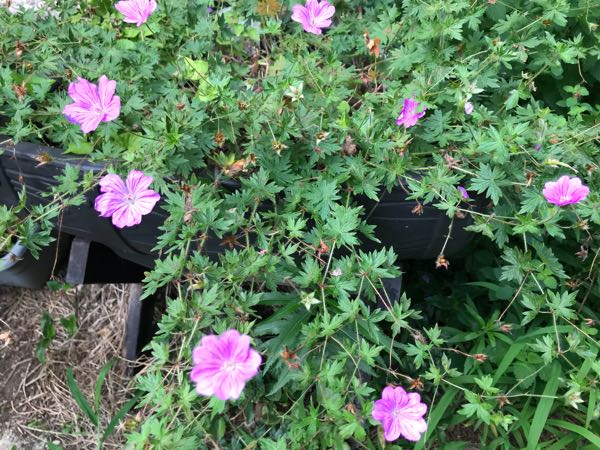 rblog-20180628172147-03.jpg