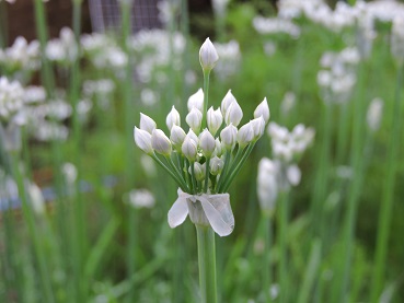 DSCN26481.jpg