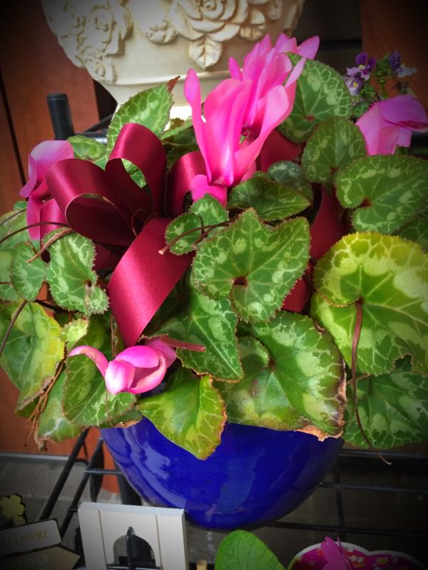 rblog-20160330190811-05.jpg