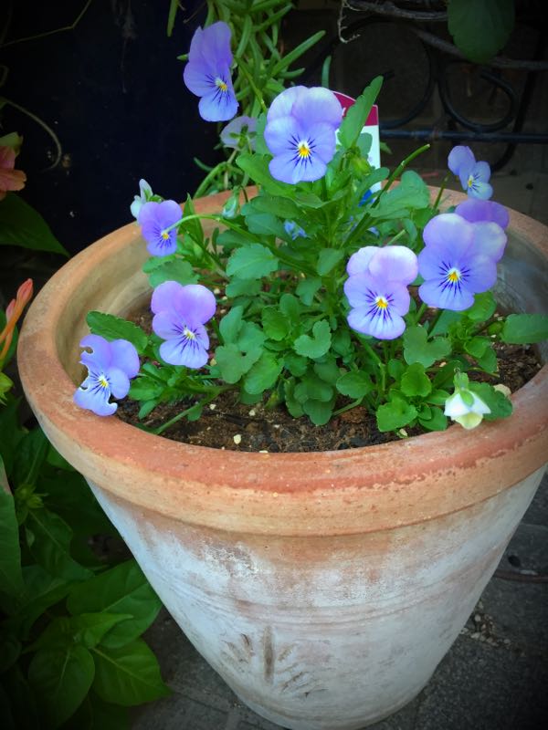 rblog-20151025172038-03.jpg