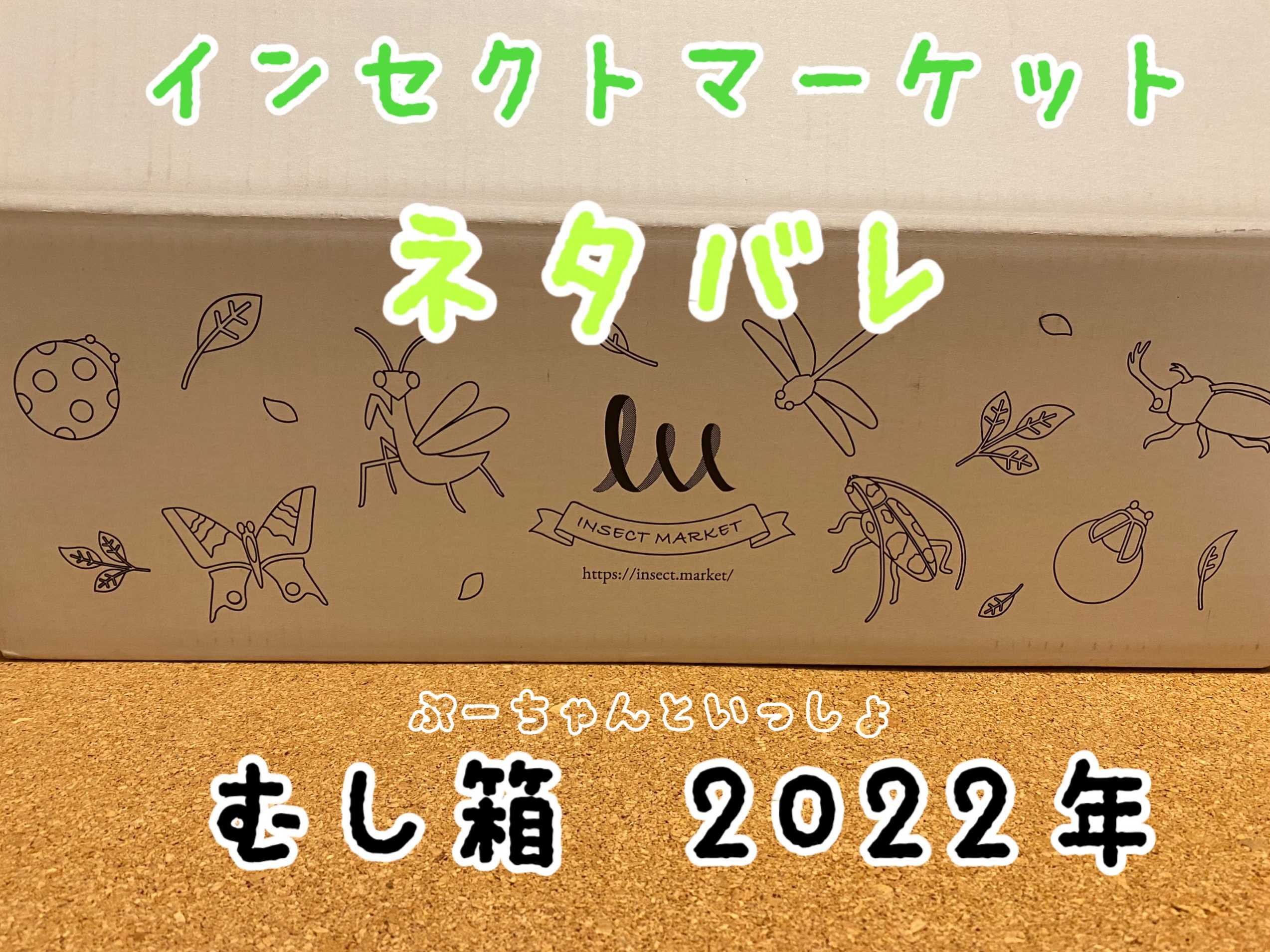 ネタバレ】むし箱2022 インセクトマーケット | ぷーちゃんといっしょ