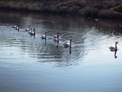 127 kohakutyou-113-b.jpg