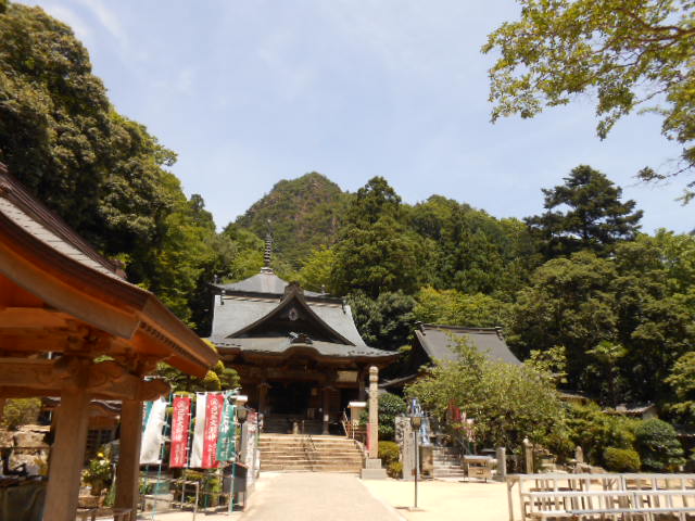 DSCN0375.JPG