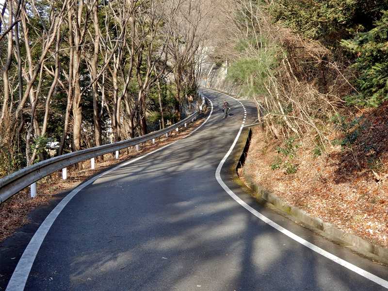 遊歩道5