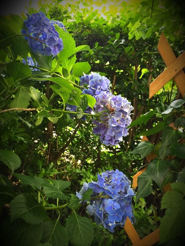 rblog-20160630184836-05.jpg