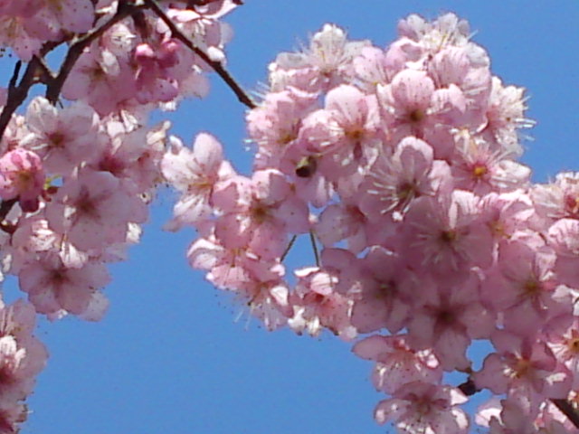 2012-03-30 23:21:05