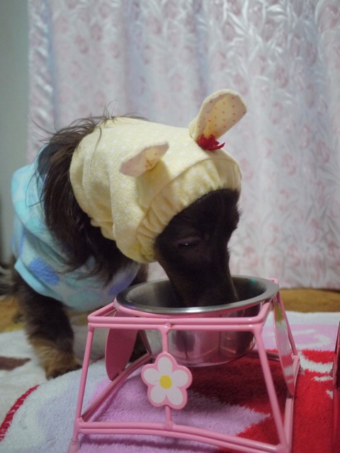 image.jpg