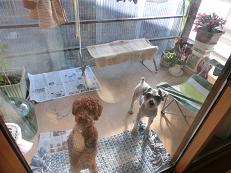 2013_1124マイピクチャー0069.JPG