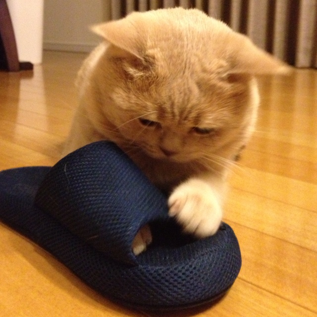 rblog-20130511193739-00.jpg