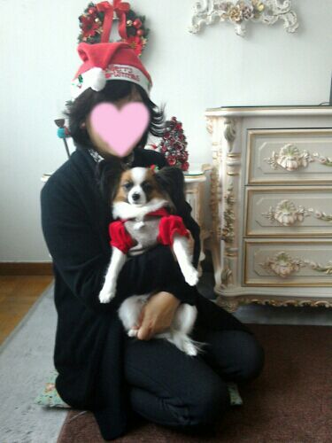 rblog-20161225110441-01.jpg