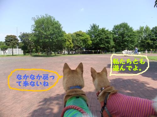 DSCF1346-1.jpg