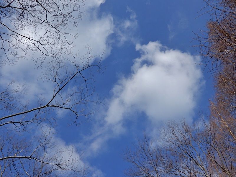 空2