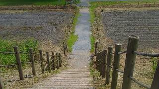 稲荷山古墳の上から１