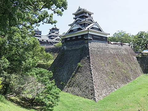 IMG_4788.jpg