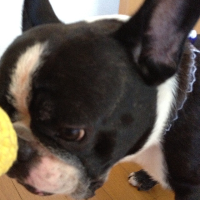 rblog-20130921170328-02.jpg