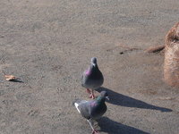 P1010685