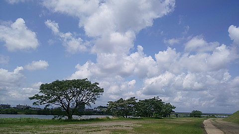 IMG_20150502_115927.jpg