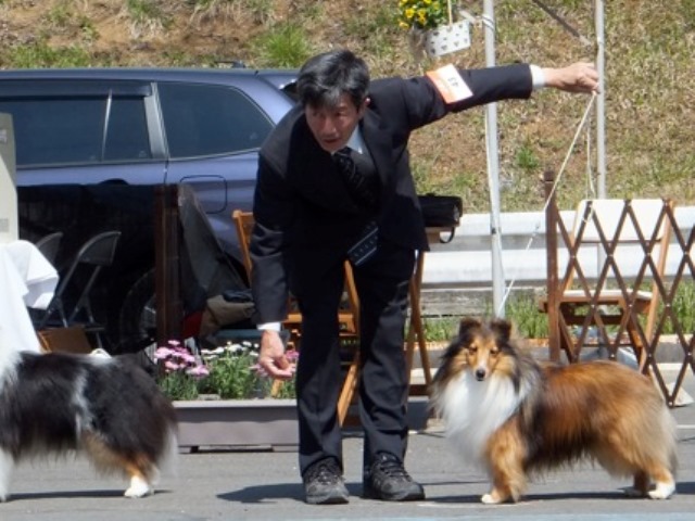 DSCF1399 - コピー.JPG