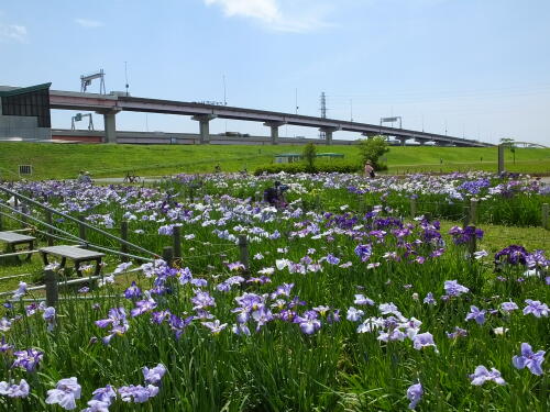 堀切水辺公園にて