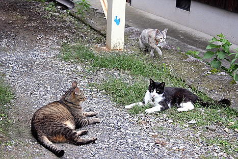 貴重な３ショット写真(笑).jpg