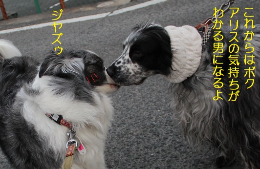 ちゅーっ