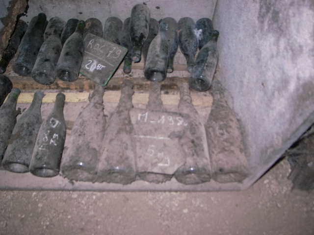 RIMG22280.JPG