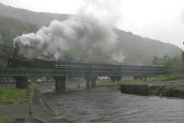 馬の次は鹿とD51に遭遇 釜石線 ＳＬ快速ＳＬ銀河ドリーム号2