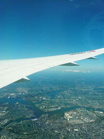 JAL787_02.jpg