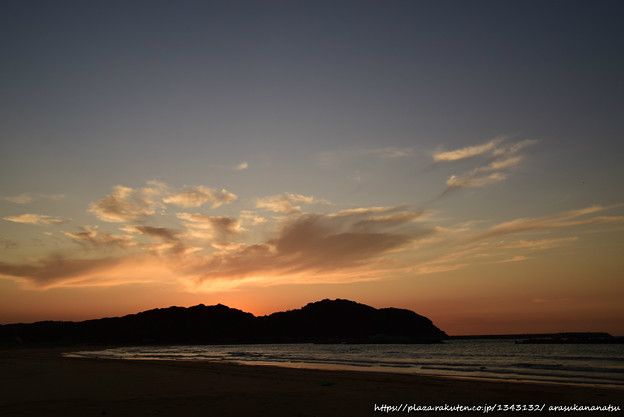 野生の花:名前と写真 - アネモネ ラナンキュロイデスまたはアネモネ