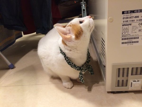 rblog-20141226072038-03.jpg