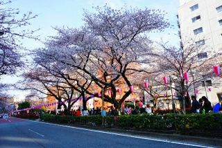 rblog-20190330071527-02.jpg