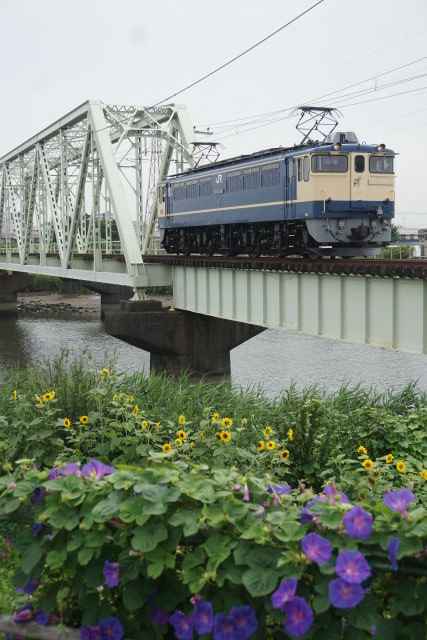 EF65 1105牽引 小田原チキ工臨& ニューなのはな 試運転2
