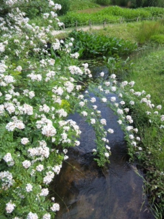 120603_145209.jpg