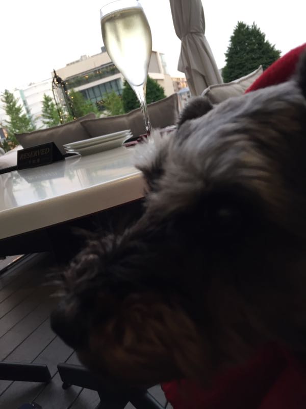 rblog-20160529053651-04.jpg
