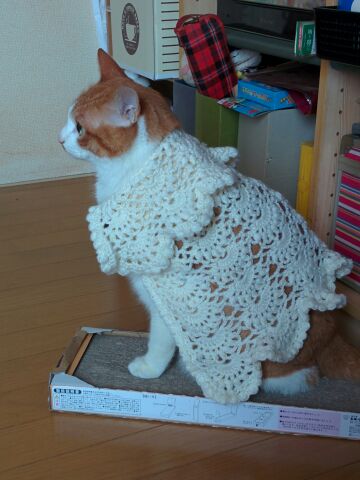 rblog-20140420113720-01.jpg