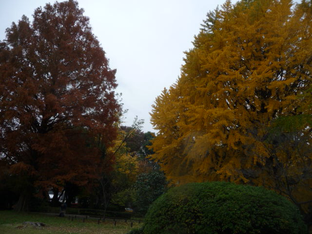 868 紅葉