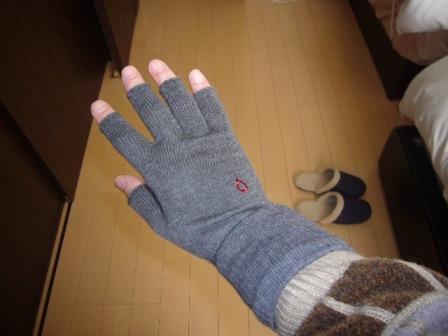 P1160056（手袋）.jpg