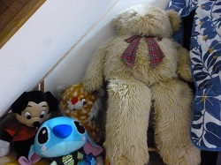0819nuigurumi