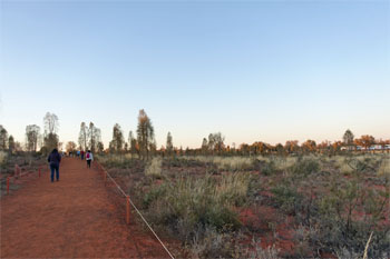 OZ876.jpg