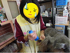 conv0178.JPG